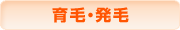 �]�E�T�C�g�����p